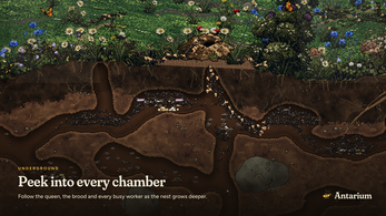 Antarium — screenshot 2