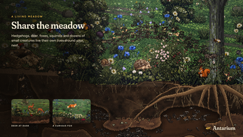 Antarium — screenshot 3
