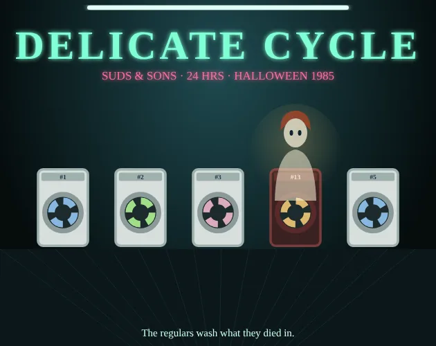 Titelbild für Delicate Cycle